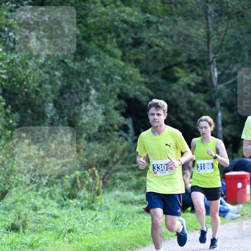 27.09.2026 - 35. Volkslauf durch das schöne Alstertal Dr. Thomas Lammeyer http://msf.ph/oto/10570283 27.09.2026 11:11:22 Laufen 330, 3186 meine-sportfotos.de