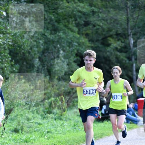 27.09.2026 - 35. Volkslauf durch das schöne Alstertal Dr. Thomas Lammeyer http://msf.ph/oto/10570285 27.09.2026 11:11:23 Laufen 3309, 3186 meine-sportfotos.de
