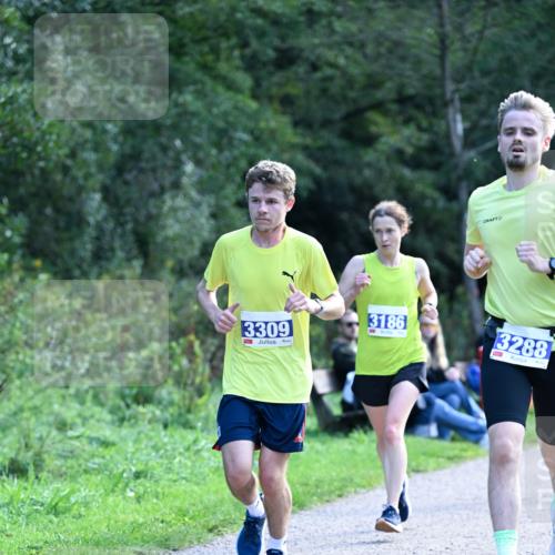 27.09.2026 - 35. Volkslauf durch das schöne Alstertal Dr. Thomas Lammeyer http://msf.ph/oto/10570286 27.09.2026 11:11:23 Laufen 3309, 3186, 3288 meine-sportfotos.de
