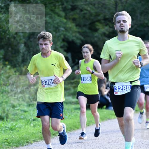 27.09.2026 - 35. Volkslauf durch das schöne Alstertal Dr. Thomas Lammeyer http://msf.ph/oto/10570287 27.09.2026 11:11:23 Laufen 3309, 3186, 3288, 312 meine-sportfotos.de