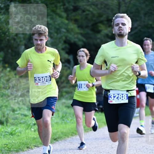 27.09.2026 - 35. Volkslauf durch das schöne Alstertal Dr. Thomas Lammeyer http://msf.ph/oto/10570288 27.09.2026 11:11:23 Laufen 3309, 3180, 13288 meine-sportfotos.de