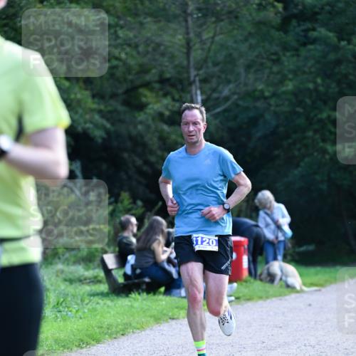 27.09.2026 - 35. Volkslauf durch das schöne Alstertal Dr. Thomas Lammeyer http://msf.ph/oto/10570289 27.09.2026 11:11:24 Laufen 3120 meine-sportfotos.de