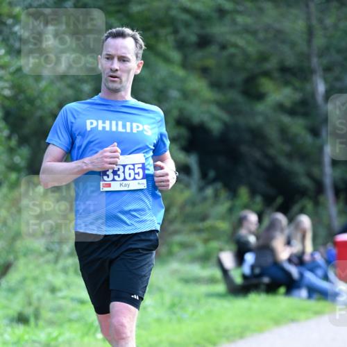 27.09.2026 - 35. Volkslauf durch das schöne Alstertal Dr. Thomas Lammeyer http://msf.ph/oto/10570326 27.09.2026 11:11:34 Laufen 3365 meine-sportfotos.de