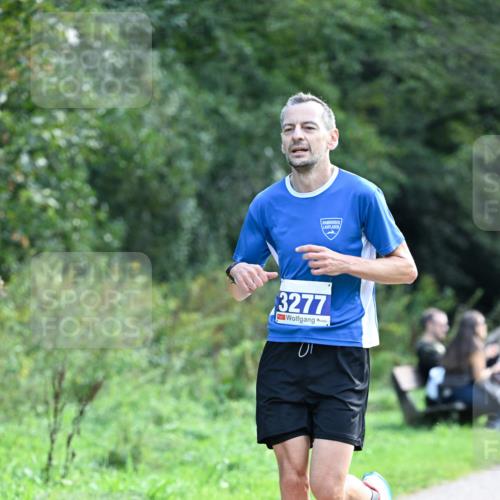 27.09.2026 - 35. Volkslauf durch das schöne Alstertal Dr. Thomas Lammeyer http://msf.ph/oto/10570363 27.09.2026 11:12:17 Laufen 3277 meine-sportfotos.de