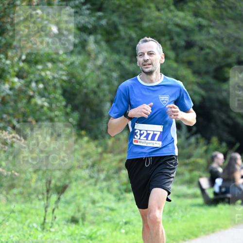 27.09.2026 - 35. Volkslauf durch das schöne Alstertal Dr. Thomas Lammeyer http://msf.ph/oto/10570364 27.09.2026 11:12:17 Laufen 3277 meine-sportfotos.de