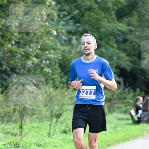 27.09.2026 - 35. Volkslauf durch das schöne Alstertal Dr. Thomas Lammeyer http://msf.ph/oto/10570366 27.09.2026 11:12:17 Laufen 3277 meine-sportfotos.de