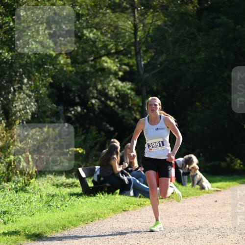 27.09.2026 - 35. Volkslauf durch das schöne Alstertal Dr. Thomas Lammeyer http://msf.ph/oto/10570388 27.09.2026 11:12:49 Laufen 3991 meine-sportfotos.de