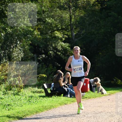 27.09.2026 - 35. Volkslauf durch das schöne Alstertal Dr. Thomas Lammeyer http://msf.ph/oto/10570389 27.09.2026 11:12:49 Laufen 3991 meine-sportfotos.de