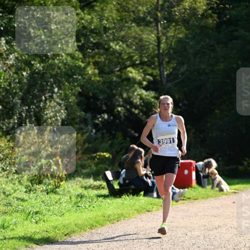 27.09.2026 - 35. Volkslauf durch das schöne Alstertal Dr. Thomas Lammeyer http://msf.ph/oto/10570390 27.09.2026 11:12:49 Laufen 3991 meine-sportfotos.de