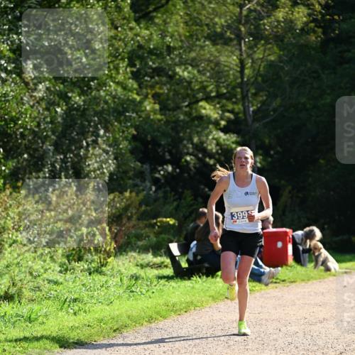 27.09.2026 - 35. Volkslauf durch das schöne Alstertal Dr. Thomas Lammeyer http://msf.ph/oto/10570391 27.09.2026 11:12:50 Laufen 399 meine-sportfotos.de