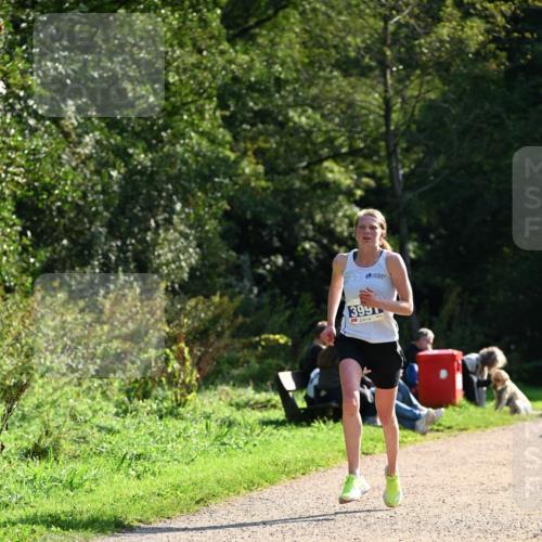 27.09.2026 - 35. Volkslauf durch das schöne Alstertal Dr. Thomas Lammeyer http://msf.ph/oto/10570392 27.09.2026 11:12:50 Laufen 399 meine-sportfotos.de