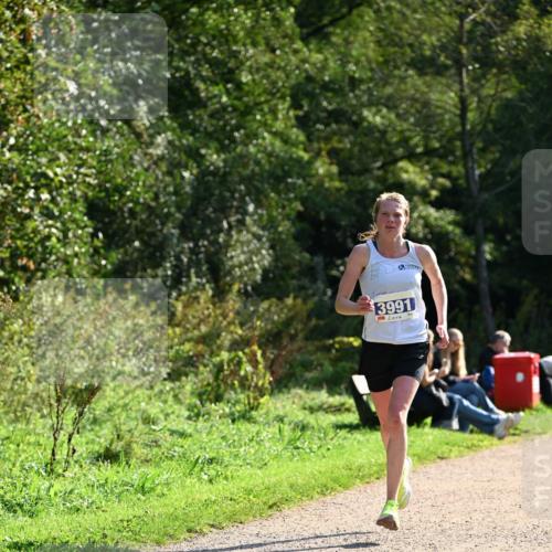 27.09.2026 - 35. Volkslauf durch das schöne Alstertal Dr. Thomas Lammeyer http://msf.ph/oto/10570395 27.09.2026 11:12:50 Laufen 3991 meine-sportfotos.de