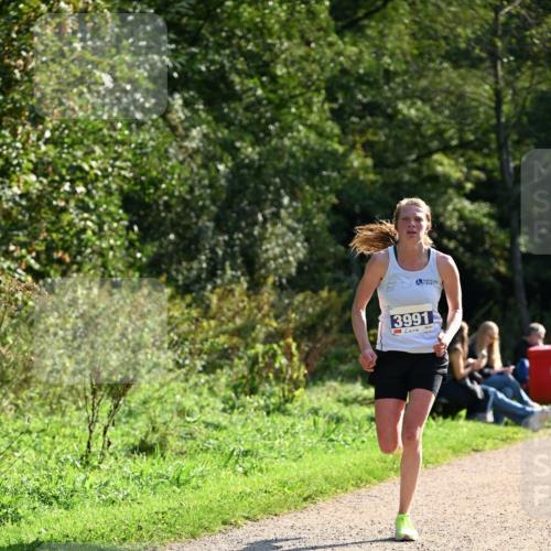 27.09.2026 - 35. Volkslauf durch das schöne Alstertal Dr. Thomas Lammeyer http://msf.ph/oto/10570396 27.09.2026 11:12:50 Laufen 3991 meine-sportfotos.de