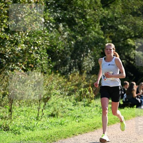 27.09.2026 - 35. Volkslauf durch das schöne Alstertal Dr. Thomas Lammeyer http://msf.ph/oto/10570398 27.09.2026 11:12:51 Laufen  meine-sportfotos.de