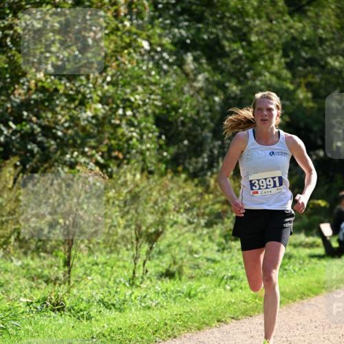 27.09.2026 - 35. Volkslauf durch das schöne Alstertal Dr. Thomas Lammeyer http://msf.ph/oto/10570401 27.09.2026 11:12:51 Laufen 3991 meine-sportfotos.de