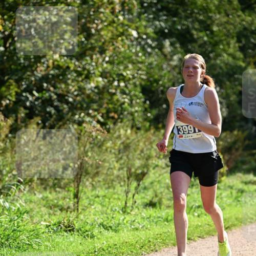 27.09.2026 - 35. Volkslauf durch das schöne Alstertal Dr. Thomas Lammeyer http://msf.ph/oto/10570403 27.09.2026 11:12:51 Laufen 399 meine-sportfotos.de
