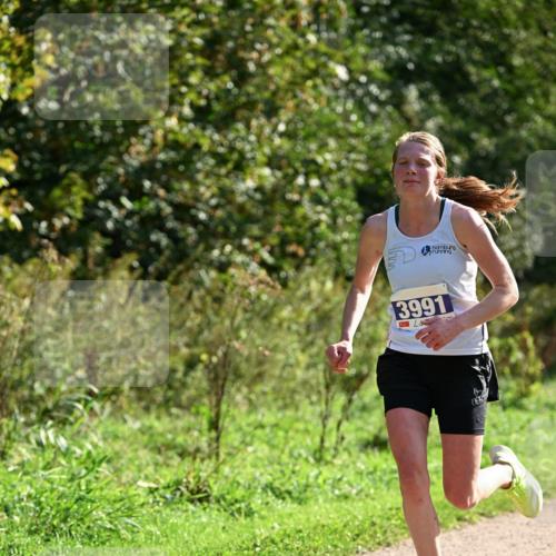 27.09.2026 - 35. Volkslauf durch das schöne Alstertal Dr. Thomas Lammeyer http://msf.ph/oto/10570404 27.09.2026 11:12:51 Laufen 3991 meine-sportfotos.de