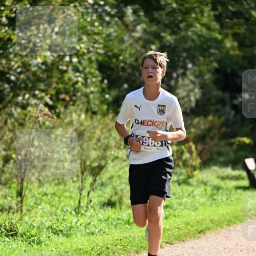 27.09.2026 - 35. Volkslauf durch das schöne Alstertal Dr. Thomas Lammeyer http://msf.ph/oto/10570448 27.09.2026 11:13:20 Laufen 960 meine-sportfotos.de