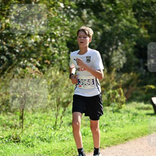 27.09.2026 - 35. Volkslauf durch das schöne Alstertal Dr. Thomas Lammeyer http://msf.ph/oto/10570449 27.09.2026 11:13:20 Laufen 3968 meine-sportfotos.de