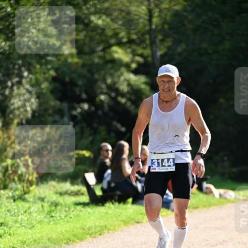27.09.2026 - 35. Volkslauf durch das schöne Alstertal Dr. Thomas Lammeyer http://msf.ph/oto/10570459 27.09.2026 11:13:24 Laufen 3144 meine-sportfotos.de