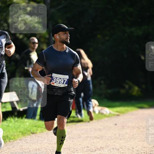 27.09.2026 - 35. Volkslauf durch das schöne Alstertal Dr. Thomas Lammeyer http://msf.ph/oto/10570476 27.09.2026 11:13:42 Laufen 3997 meine-sportfotos.de