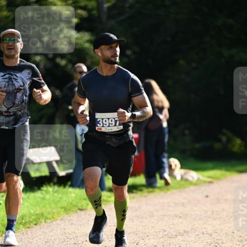 27.09.2026 - 35. Volkslauf durch das schöne Alstertal Dr. Thomas Lammeyer http://msf.ph/oto/10570477 27.09.2026 11:13:42 Laufen 3997 meine-sportfotos.de