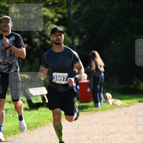 27.09.2026 - 35. Volkslauf durch das schöne Alstertal Dr. Thomas Lammeyer http://msf.ph/oto/10570479 27.09.2026 11:13:42 Laufen 3997 meine-sportfotos.de