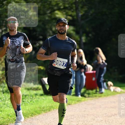 27.09.2026 - 35. Volkslauf durch das schöne Alstertal Dr. Thomas Lammeyer http://msf.ph/oto/10570482 27.09.2026 11:13:43 Laufen 3997 meine-sportfotos.de