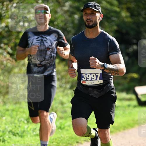 27.09.2026 - 35. Volkslauf durch das schöne Alstertal Dr. Thomas Lammeyer http://msf.ph/oto/10570490 27.09.2026 11:13:44 Laufen 3997 meine-sportfotos.de