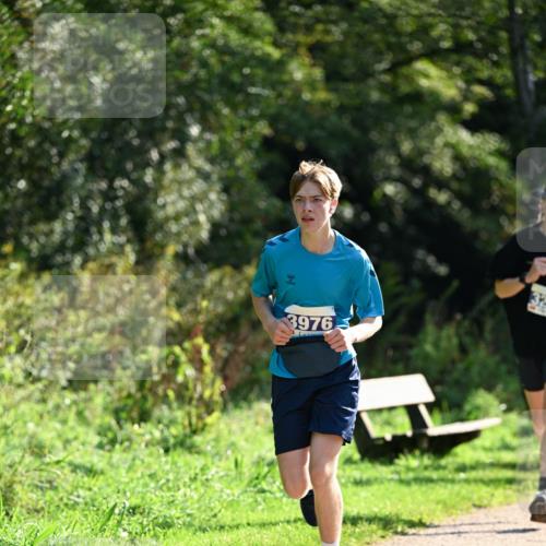27.09.2026 - 35. Volkslauf durch das schöne Alstertal Dr. Thomas Lammeyer http://msf.ph/oto/10570515 27.09.2026 11:13:53 Laufen 3976 meine-sportfotos.de