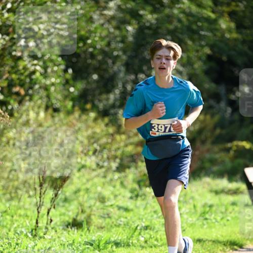 27.09.2026 - 35. Volkslauf durch das schöne Alstertal Dr. Thomas Lammeyer http://msf.ph/oto/10570520 27.09.2026 11:13:53 Laufen 397 meine-sportfotos.de