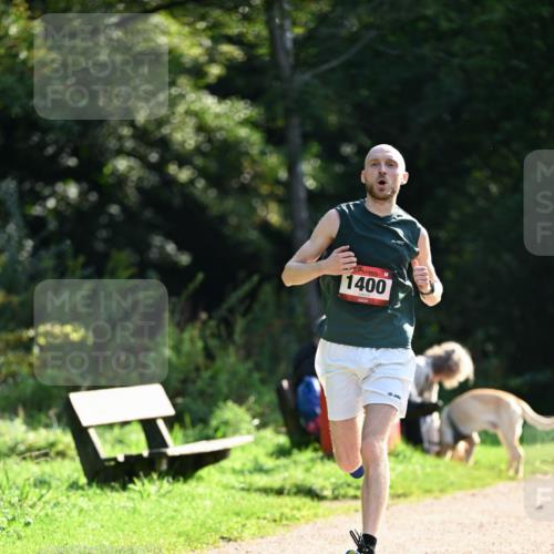27.09.2026 - 35. Volkslauf durch das schöne Alstertal Dr. Thomas Lammeyer http://msf.ph/oto/10570548 27.09.2026 11:14:07 Laufen 1400 meine-sportfotos.de