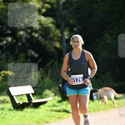 27.09.2026 - 35. Volkslauf durch das schöne Alstertal Dr. Thomas Lammeyer http://msf.ph/oto/10570560 27.09.2026 11:14:13 Laufen 176 meine-sportfotos.de