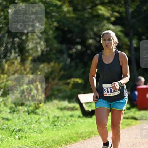 27.09.2026 - 35. Volkslauf durch das schöne Alstertal Dr. Thomas Lammeyer http://msf.ph/oto/10570571 27.09.2026 11:14:14 Laufen 317 meine-sportfotos.de