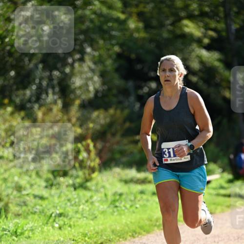27.09.2026 - 35. Volkslauf durch das schöne Alstertal Dr. Thomas Lammeyer http://msf.ph/oto/10570573 27.09.2026 11:14:14 Laufen 31 meine-sportfotos.de