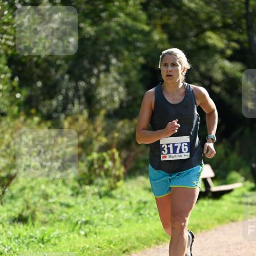 27.09.2026 - 35. Volkslauf durch das schöne Alstertal Dr. Thomas Lammeyer http://msf.ph/oto/10570576 27.09.2026 11:14:14 Laufen 3176 meine-sportfotos.de