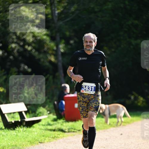 27.09.2026 - 35. Volkslauf durch das schöne Alstertal Dr. Thomas Lammeyer http://msf.ph/oto/10570592 27.09.2026 11:14:21 Laufen 3431 meine-sportfotos.de