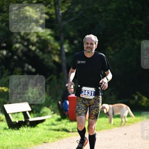 27.09.2026 - 35. Volkslauf durch das schöne Alstertal Dr. Thomas Lammeyer http://msf.ph/oto/10570593 27.09.2026 11:14:21 Laufen 3431 meine-sportfotos.de