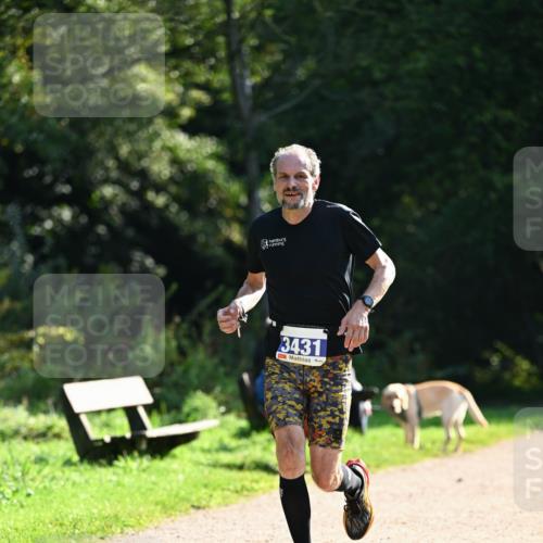 27.09.2026 - 35. Volkslauf durch das schöne Alstertal Dr. Thomas Lammeyer http://msf.ph/oto/10570596 27.09.2026 11:14:21 Laufen 3431 meine-sportfotos.de