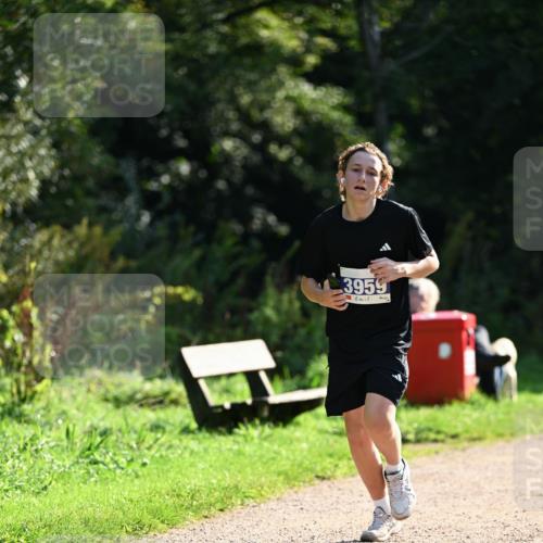 27.09.2026 - 35. Volkslauf durch das schöne Alstertal Dr. Thomas Lammeyer http://msf.ph/oto/10570674 27.09.2026 11:15:04 Laufen 3959 meine-sportfotos.de