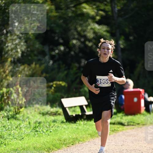 27.09.2026 - 35. Volkslauf durch das schöne Alstertal Dr. Thomas Lammeyer http://msf.ph/oto/10570676 27.09.2026 11:15:05 Laufen 3959 meine-sportfotos.de