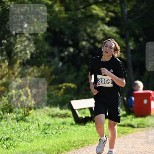 27.09.2026 - 35. Volkslauf durch das schöne Alstertal Dr. Thomas Lammeyer http://msf.ph/oto/10570678 27.09.2026 11:15:05 Laufen 3959 meine-sportfotos.de