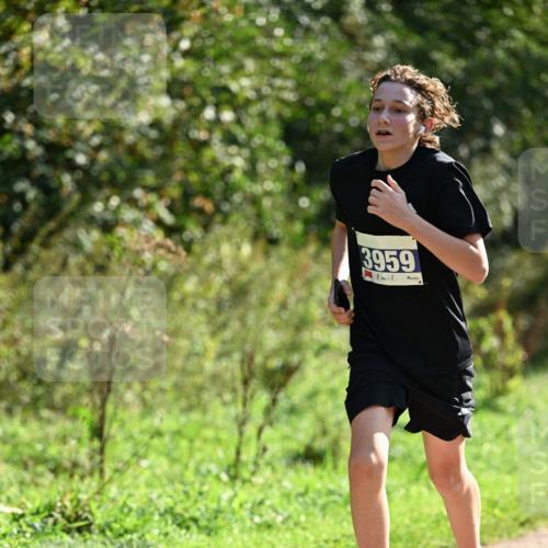 27.09.2026 - 35. Volkslauf durch das schöne Alstertal Dr. Thomas Lammeyer http://msf.ph/oto/10570693 27.09.2026 11:15:06 Laufen 3959 meine-sportfotos.de