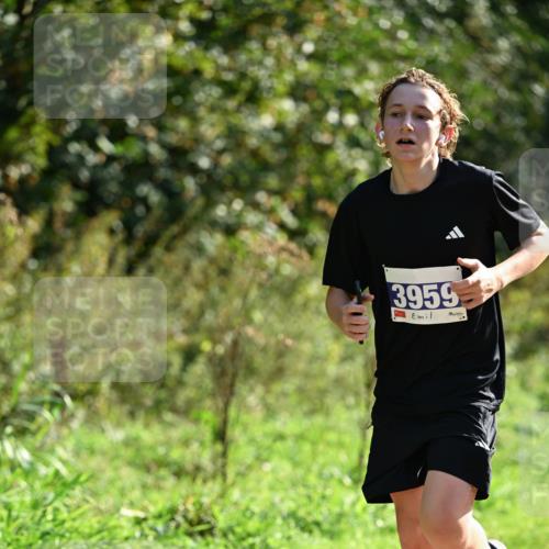 27.09.2026 - 35. Volkslauf durch das schöne Alstertal Dr. Thomas Lammeyer http://msf.ph/oto/10570695 27.09.2026 11:15:07 Laufen 3959 meine-sportfotos.de