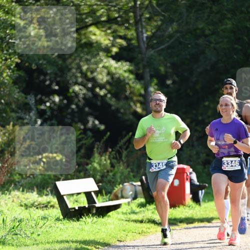 27.09.2026 - 35. Volkslauf durch das schöne Alstertal Dr. Thomas Lammeyer http://msf.ph/oto/10570707 27.09.2026 11:15:17 Laufen 3345, 3346 meine-sportfotos.de