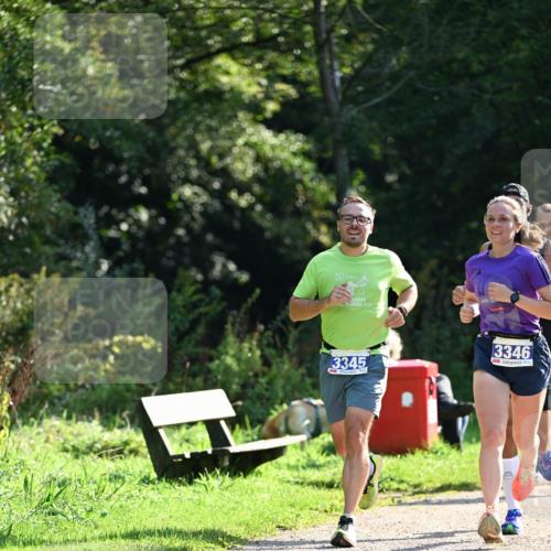 27.09.2026 - 35. Volkslauf durch das schöne Alstertal Dr. Thomas Lammeyer http://msf.ph/oto/10570708 27.09.2026 11:15:18 Laufen 20, 3345, 3346 meine-sportfotos.de