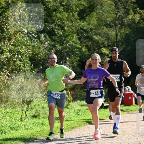 27.09.2026 - 35. Volkslauf durch das schöne Alstertal Dr. Thomas Lammeyer http://msf.ph/oto/10570729 27.09.2026 11:15:20 Laufen 22, 3345, 3346 meine-sportfotos.de