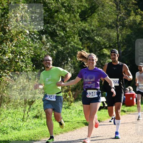 27.09.2026 - 35. Volkslauf durch das schöne Alstertal Dr. Thomas Lammeyer http://msf.ph/oto/10570730 27.09.2026 11:15:20 Laufen 3345, 3346, 22, 3343 meine-sportfotos.de