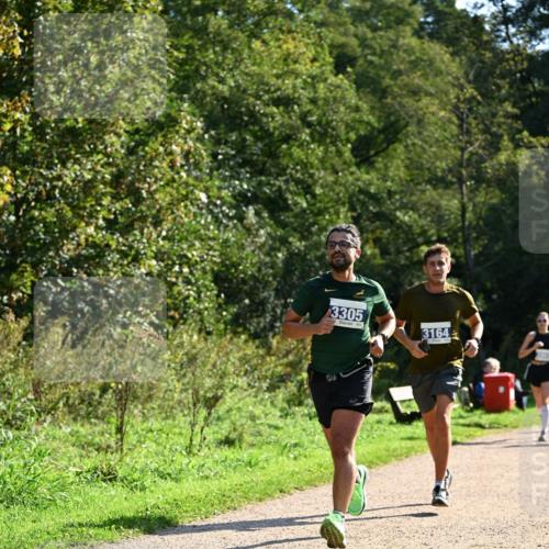 27.09.2026 - 35. Volkslauf durch das schöne Alstertal Dr. Thomas Lammeyer http://msf.ph/oto/10570762 27.09.2026 11:15:25 Laufen 3305, 3164 meine-sportfotos.de