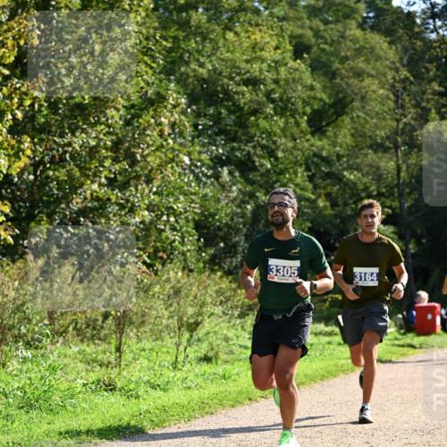 27.09.2026 - 35. Volkslauf durch das schöne Alstertal Dr. Thomas Lammeyer http://msf.ph/oto/10570764 27.09.2026 11:15:25 Laufen 3305, 3164 meine-sportfotos.de